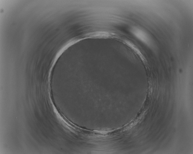 X0000084581475200703091824