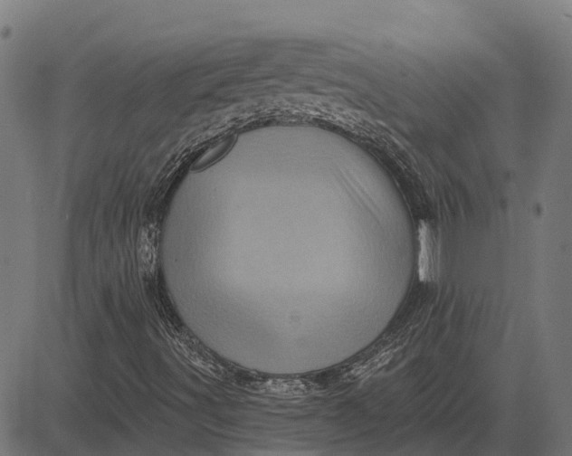 X0000084581491200703091823