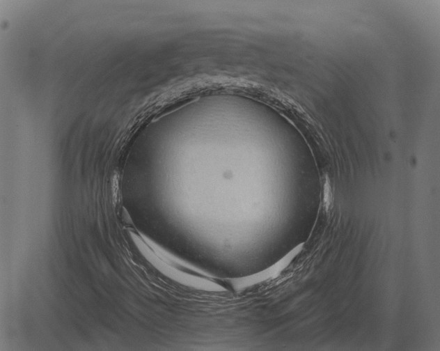 X0000084581492200703091823