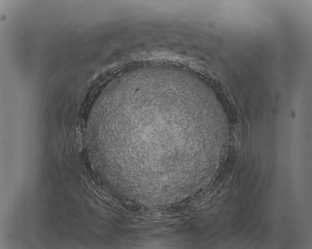 X0000084581493200703091823