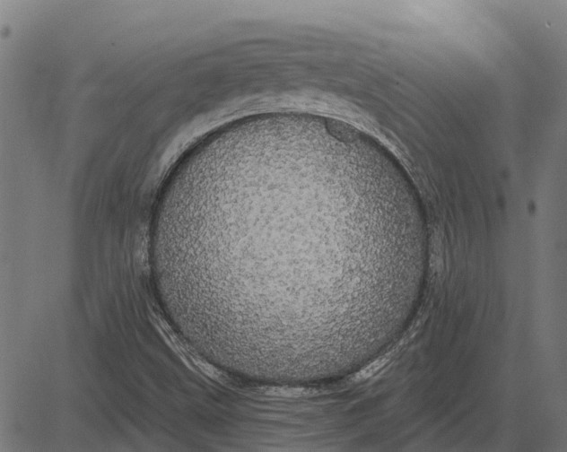 X0000084581499200703091823