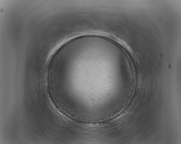 X0000084581504200703091823