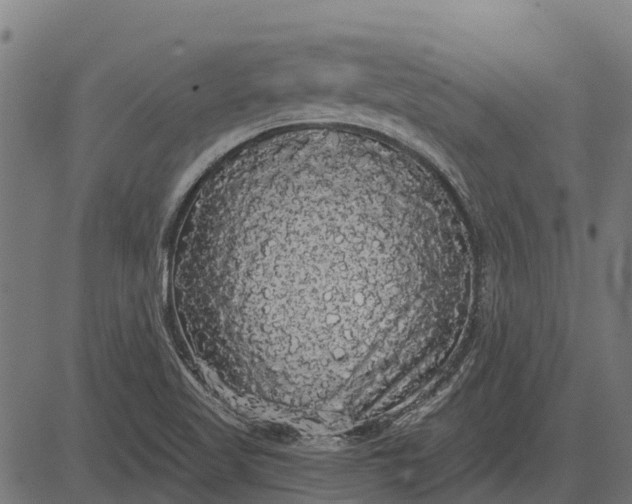 X0000084581509200703091823