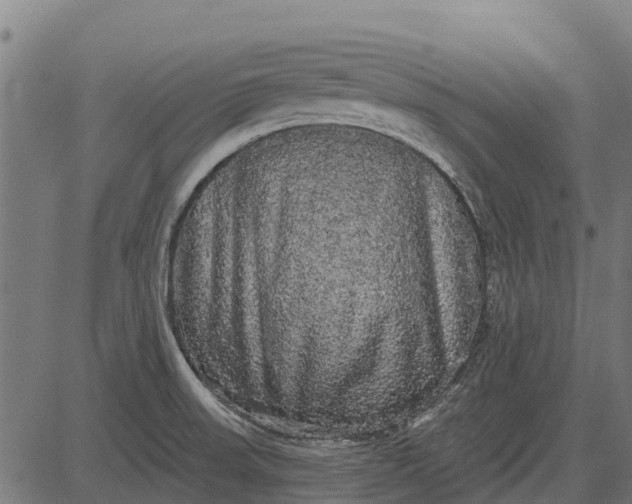 X0000084581523200703091824