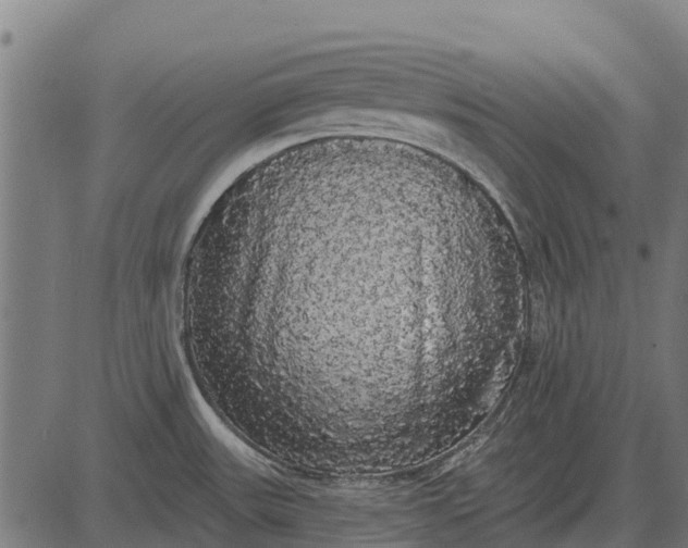 X0000084581531200703091824