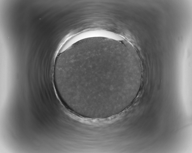 X0000084580003200703161749