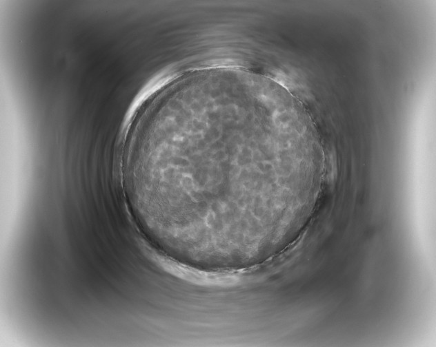 X0000084580004200703161749
