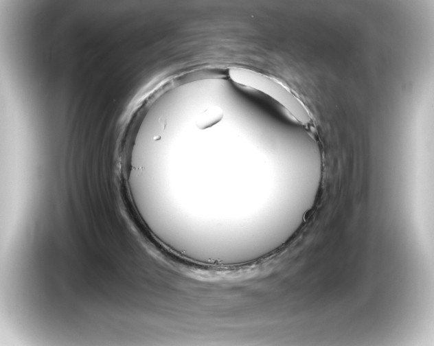 X0000084580005200703161749