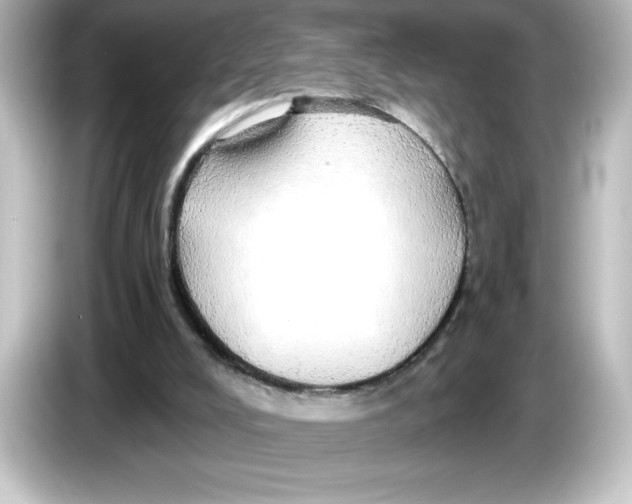 X0000084580008200703161749