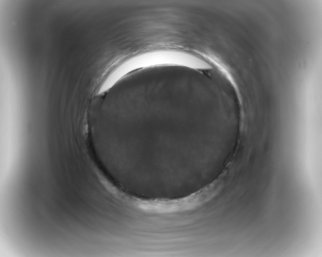 X0000084580009200703161749