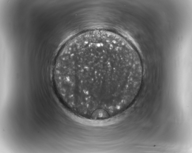 X0000084580010200703161749
