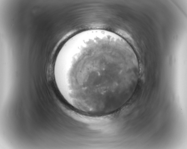 X0000084580012200703161749