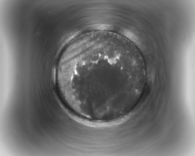 X0000084580014200703161749