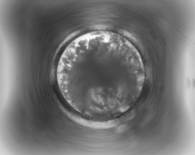 X0000084580016200703161749