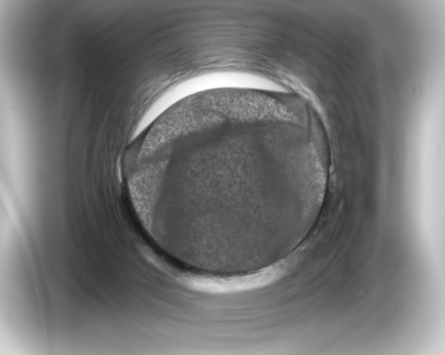 X0000084580017200703161749
