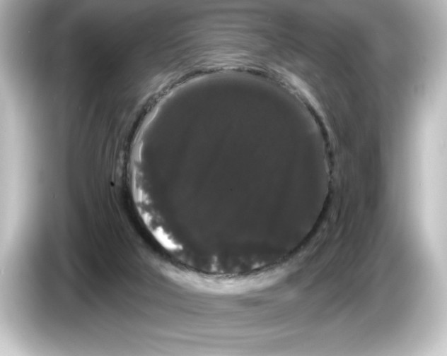 X0000084580018200703161749