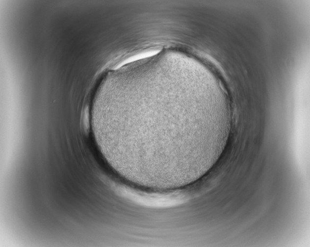 X0000084580020200703161749