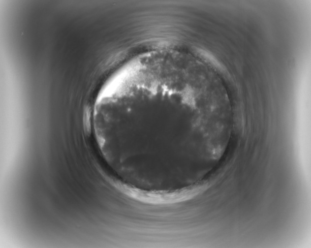 X0000084580022200703161749