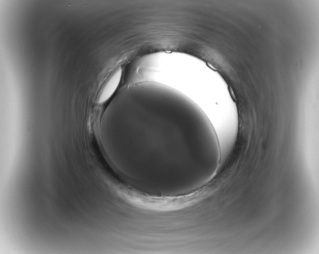 X0000084580023200703161749