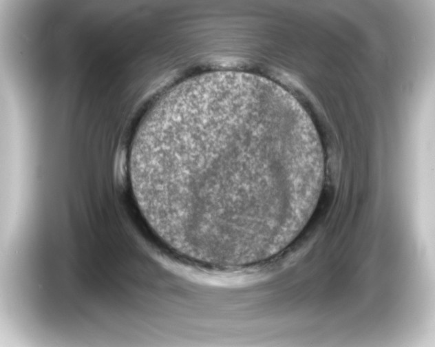 X0000084580024200703161749