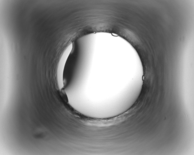 X0000084580025200703161749