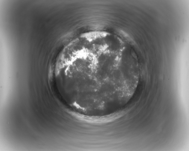 X0000084580026200703161749