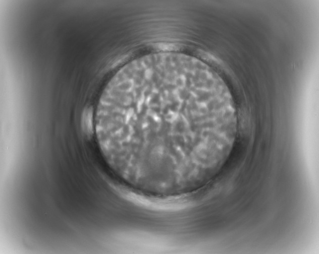 X0000084580028200703161749