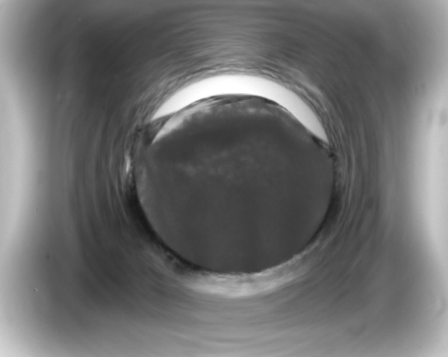 X0000084580029200703161749