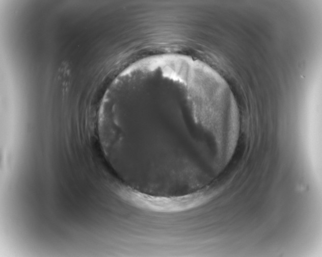 X0000084580030200703161749