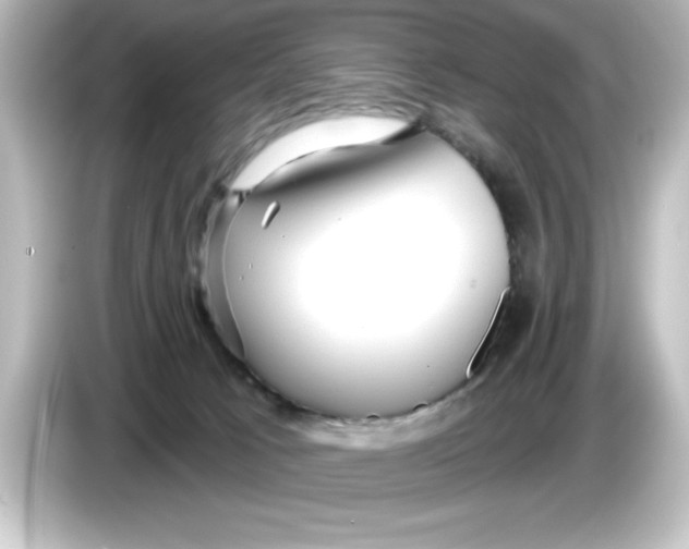 X0000084580033200703161749