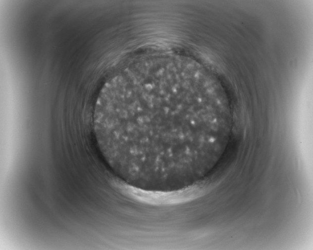 X0000084580034200703161749
