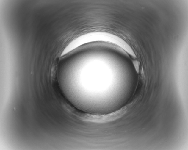 X0000084580037200703161749