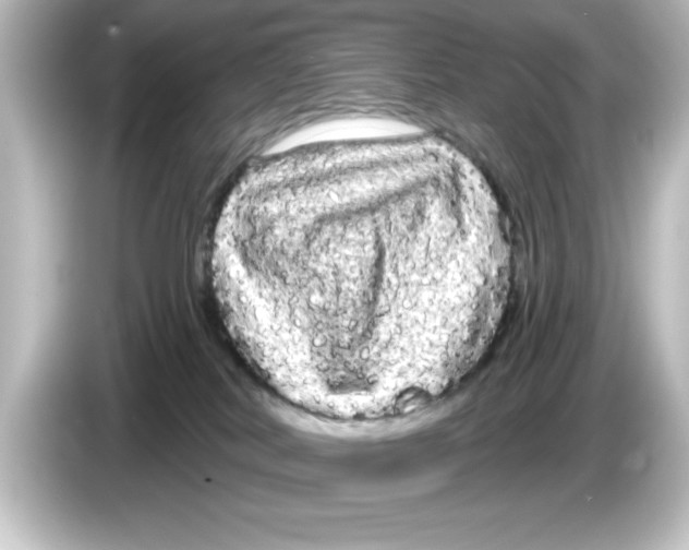 X0000084580038200703161749