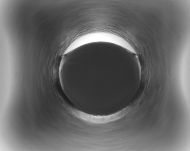 X0000084580039200703161749