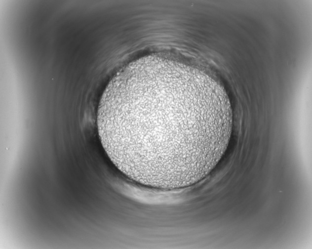 X0000084580040200703161749
