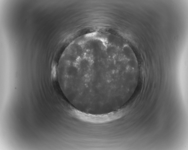X0000084580042200703161749