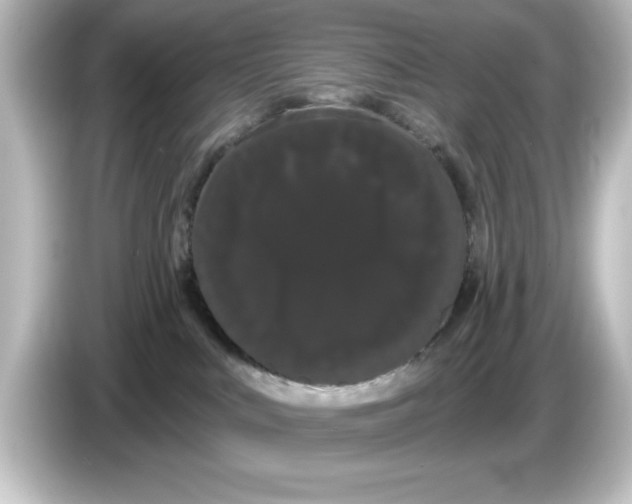 X0000084580043200703161748