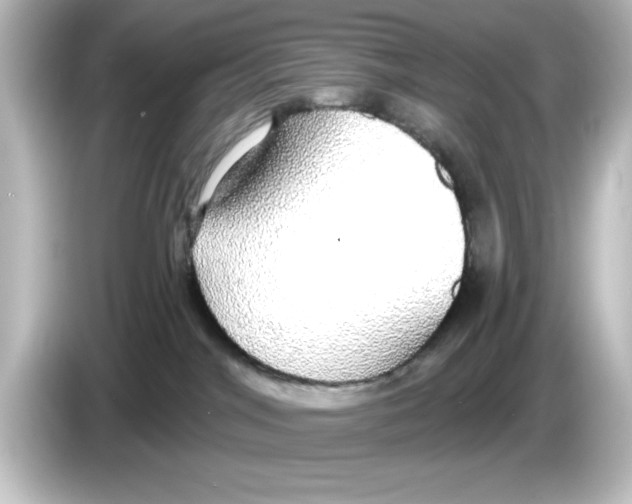 X0000084580044200703161748