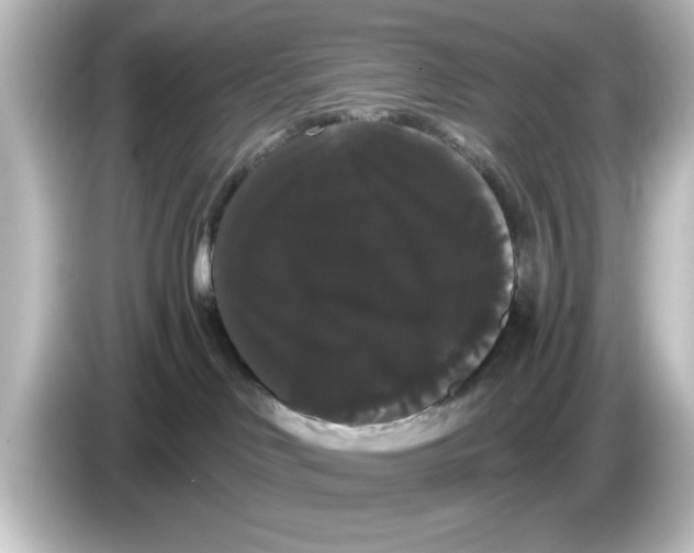 X0000084580046200703161748