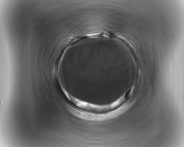 X0000084580048200703161748