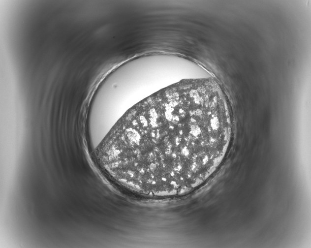 X0000084580049200703161748