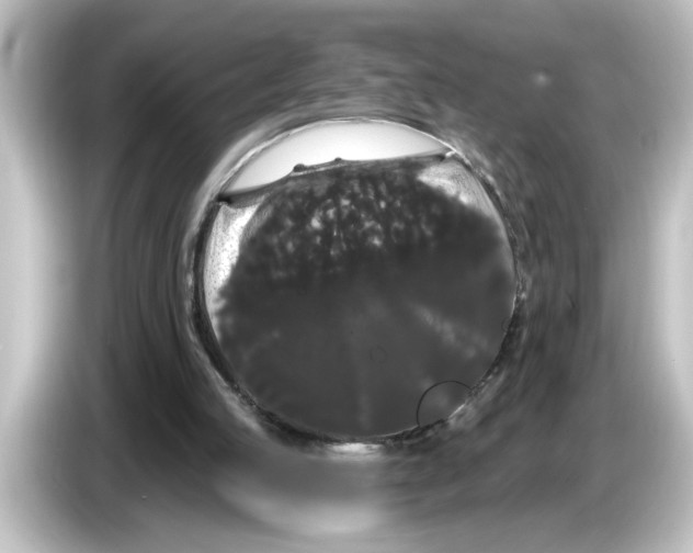 X0000084580053200703161748