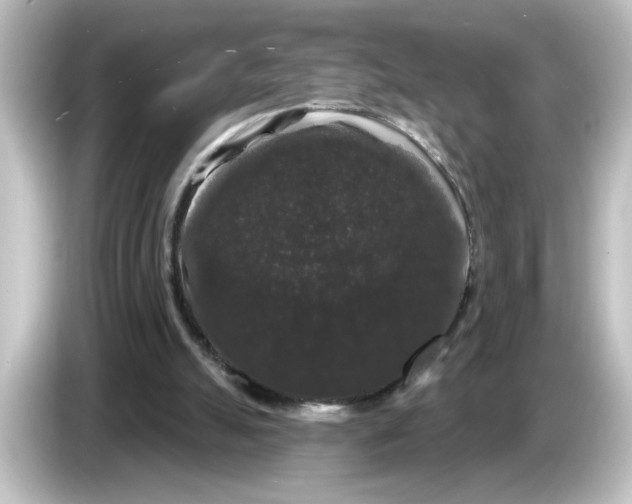 X0000084580055200703161748