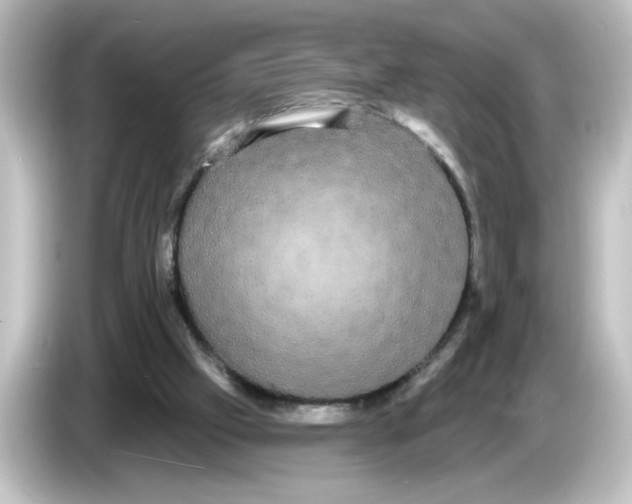 X0000084580057200703161748