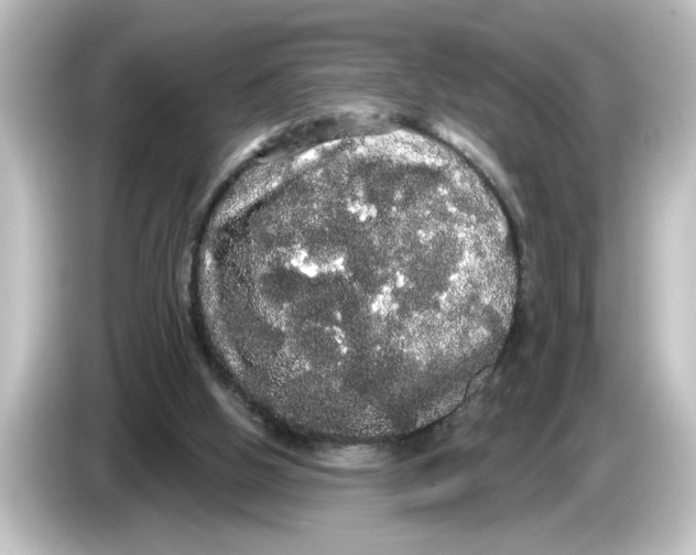 X0000084580058200703161748