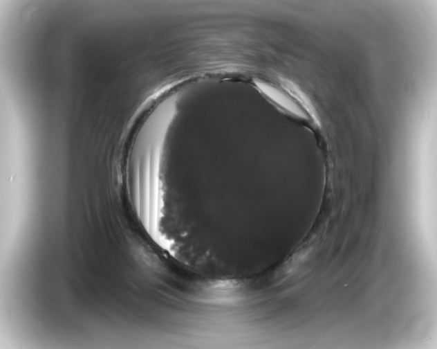 X0000084580059200703161748
