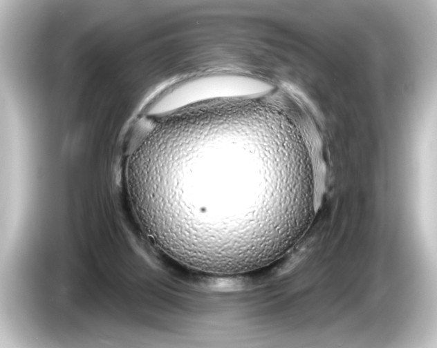 X0000084580060200703161748
