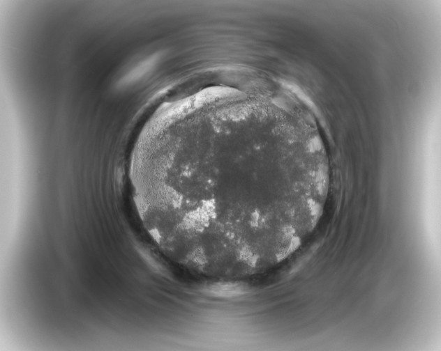 X0000084580063200703161748