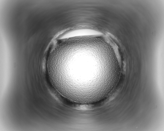 X0000084580064200703161748