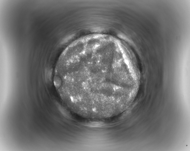 X0000084580066200703161748
